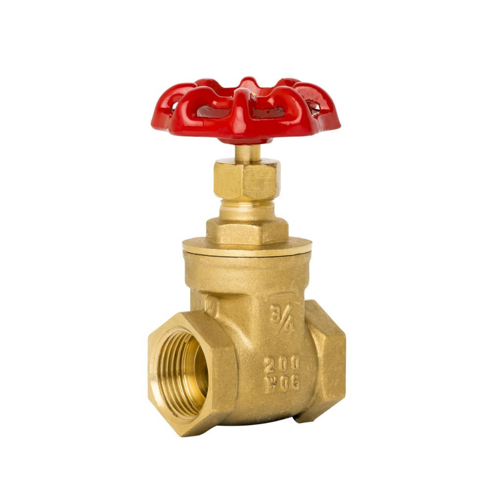 Stainless steel, Cast iron and Brass Gate Valve Thread Type.