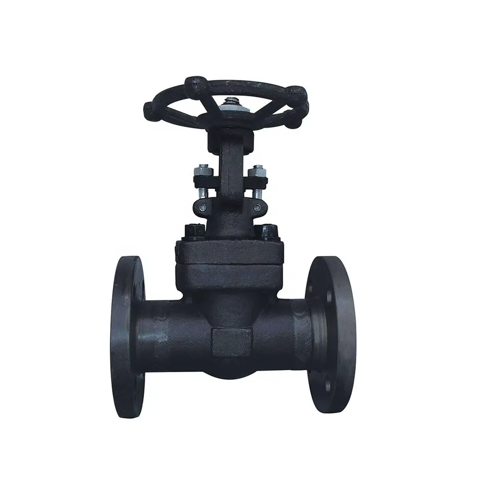 Forged Steel Valve Gate Valve Thread, Flange and welded Type